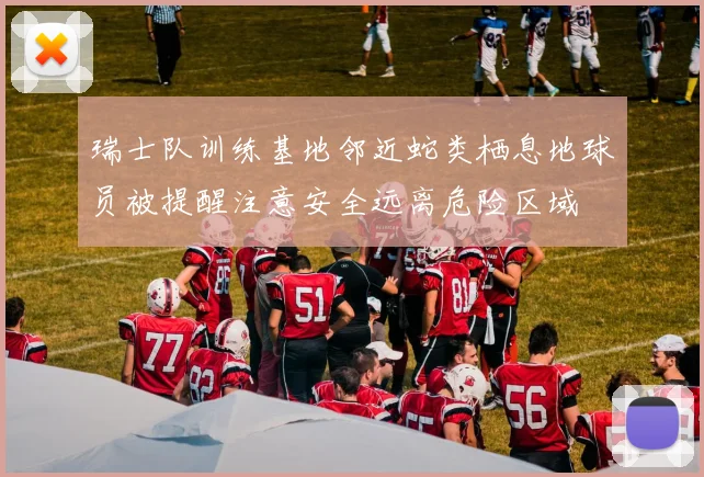瑞士队训练基地邻近蛇类栖息地球员被提醒注意安全远离危险区域